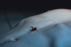 elenahelfrecht:  Model: Remo SorgeWebsiteFacebookFlickr