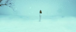 ayonnasmith:White Bird in a Blizzard (2014)