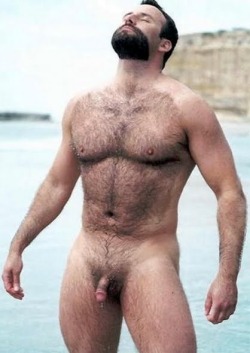 ty3141: beefy-buds: Beefy Buds  Hot hairy stud.   Want to get