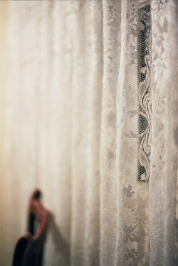 congregated:  nature/vintage blog    