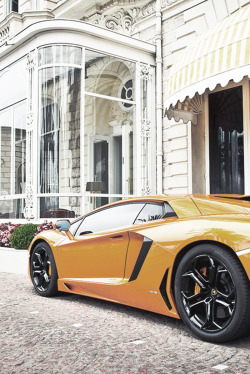 themanliness:  Vitamin A | Source | More   