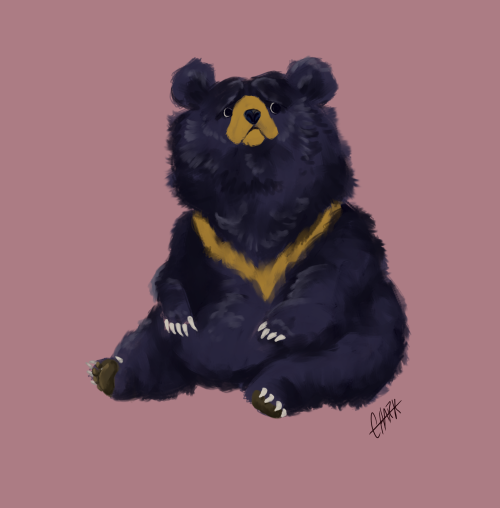 charkmancer:  some doodles of moon bears and a sun bear 