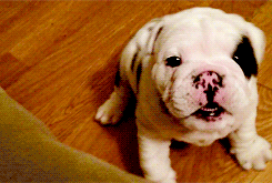 awwww! Cute!