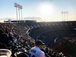 Raider preseason game. Nice time.  (at O.co Coliseum) https://www.instagram.com/p/B1CdA2nA6u6/?igshid=5qqno9anz6y3