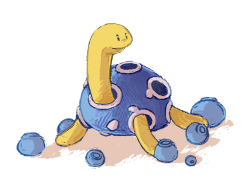 almondette:  Fav single stage: Shuckle!! Shiny shuckle and oran