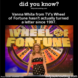 did-you-kno:  Vanna White from TV’s Wheel of Fortune hasn’t