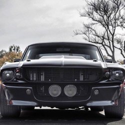 musclefords:  #ford#Mustang#SVT tag–> #American_muscle_mustangs