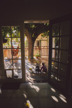 eliz:  Oscar and Dottie during the solar eclipse, October 23 2014