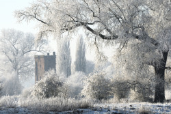 allthingseurope:  Nijenbeek Castle, Netherlands (by Freerk Zandberg)