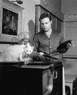 olga-4711:  Marlon Brando listening music with his cat. Real