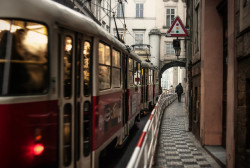 defiantely:  narrow walk by ewitsoe on Flickr. 