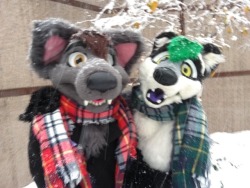 aceofheartsfox:Happy fursuit Friday from me and @clockworkcoon