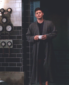 trenchcoatandhalo:  dean, cas, and their robes 