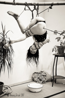 amaury-grisel-shibari: @aizenkaguya tied by Kasumi Hourai  during