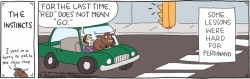 georgetakei:  Cut the bull when driving. (Credit: http://comicskingdom.com/rhymes-with-orange/2014-11-12)