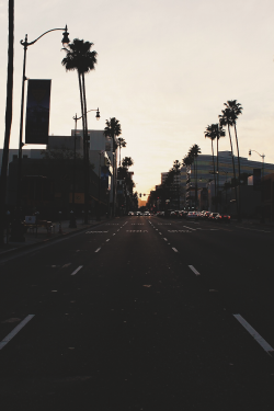 wearevanity: L.A afternoon delight