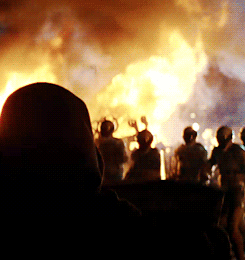 peetasportraits:  A mockingjay is a creature the capitol never