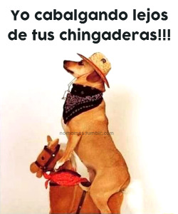 nomames:  Jajaja!!! :D