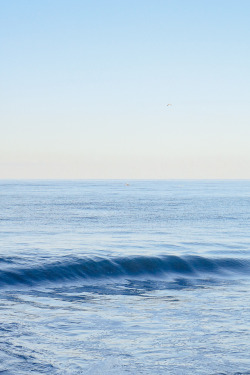 samlabrahams-photo:  will rodgers state beach, california