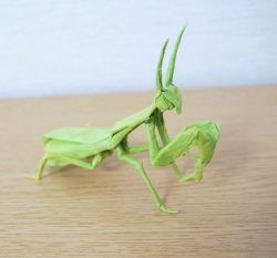 paperphiliac:  Origami Mantis designed by Satoshi Kamiya  Folded