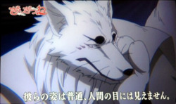 First screengrab of Gintarou from the new Gingitsune anime. I