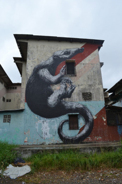 artpeoplemake:  PANAMA CITY-Curundu- (3/3) by ROA ! on Flickr.#APM