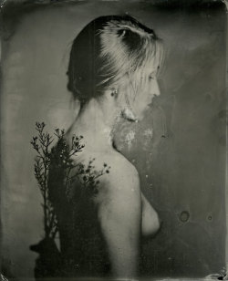 brookelabrie:  9.25" x 7.5" Portrait with Sprig Tintype