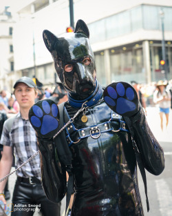 pupbolt:  London Gay Pride March, June 2015 I marched with the