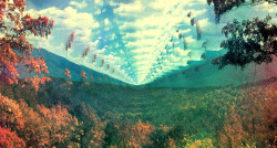 in-love-with-pink-floyd:  neo psychedelic albums Tame Impala