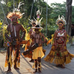 sunameke: Mekeo Dancers at sunameke’s Tep Tok documentary preview at the Papua New Guinea National Museum and Art Gallery! #teptok #sunameke #melanesian #tatu #revival #mekeo #ngeva #dance