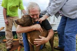Man find his dog after a hurricane, or something…