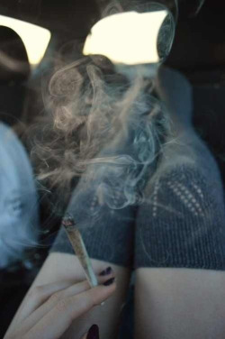 weed & more