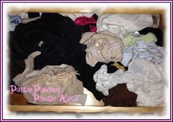 It’s A Pantie Drawer Raid Day!  All you boys and gurls out