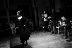 timewelllost:  Flamenco Sevilla, Spain 2013 