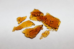 onmamasbreh:  Black Berry Shatter 