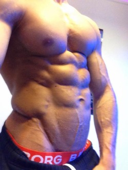 aplethoraofmen:  Swedish Pecs