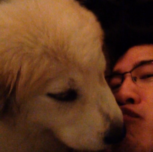 pucklexis:  Markiplier and his puppies.