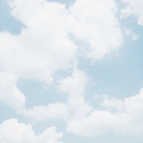 skyberrii:  all photographed by skyberrii   â™¡.Â°â‘…     