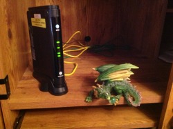 My little dragon decor hangin out with the router