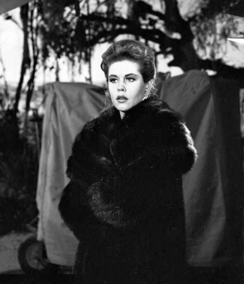 Elizabeth Montgomery Nudes & Noises  