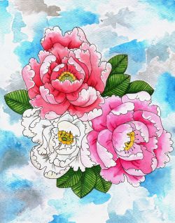 artbysophie:  PeoniesFineliner and watercolour8x10in 