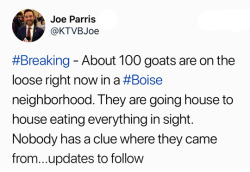 tastefullyoffensive:  The goatpocalypse is upon us. (via KTVBJoe)