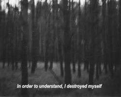 PSYCHOTIC DREAMS AND SHIT
