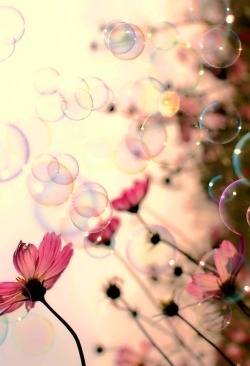 vicssecretmind:  💋💞 
