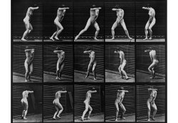 eadweard muybridge