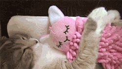 monsterprincesslittle:  When daddy/mommy is not home yet and