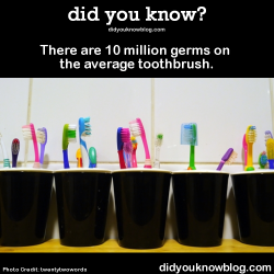 did-you-kno:  There are 10 million germs on the average toothbrush.