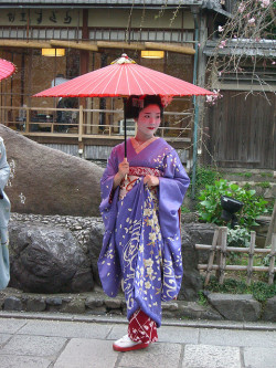 geisha-kai:Maiko Takahiro with cherry blossoms and Kanikakuni