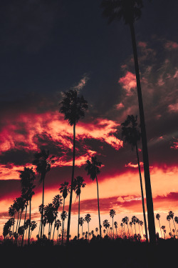 motivationsforlife:  Echo Park, Los Angeles by @neverwearthem