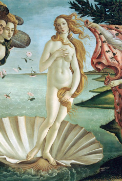 lunakays-blog:  The Birth of Venus by Sandro Botticelli, 1485.